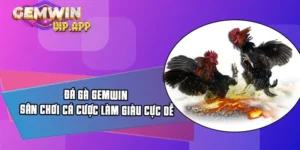 Đá gà Gemwin là sảnh game được cược thủ luôn lựa chọn